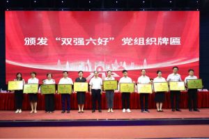 喜报！九州网页版登录入口-九州（中国）集团党支部荣获广州市非公有制经济组织“双强六好”党