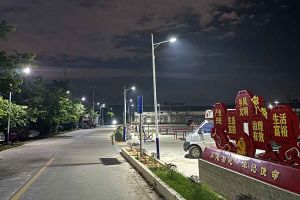 九州网页版登录入口-九州（中国）集团罗宁弟爱心捐赠路灯，点亮乡村路温暖乡民心